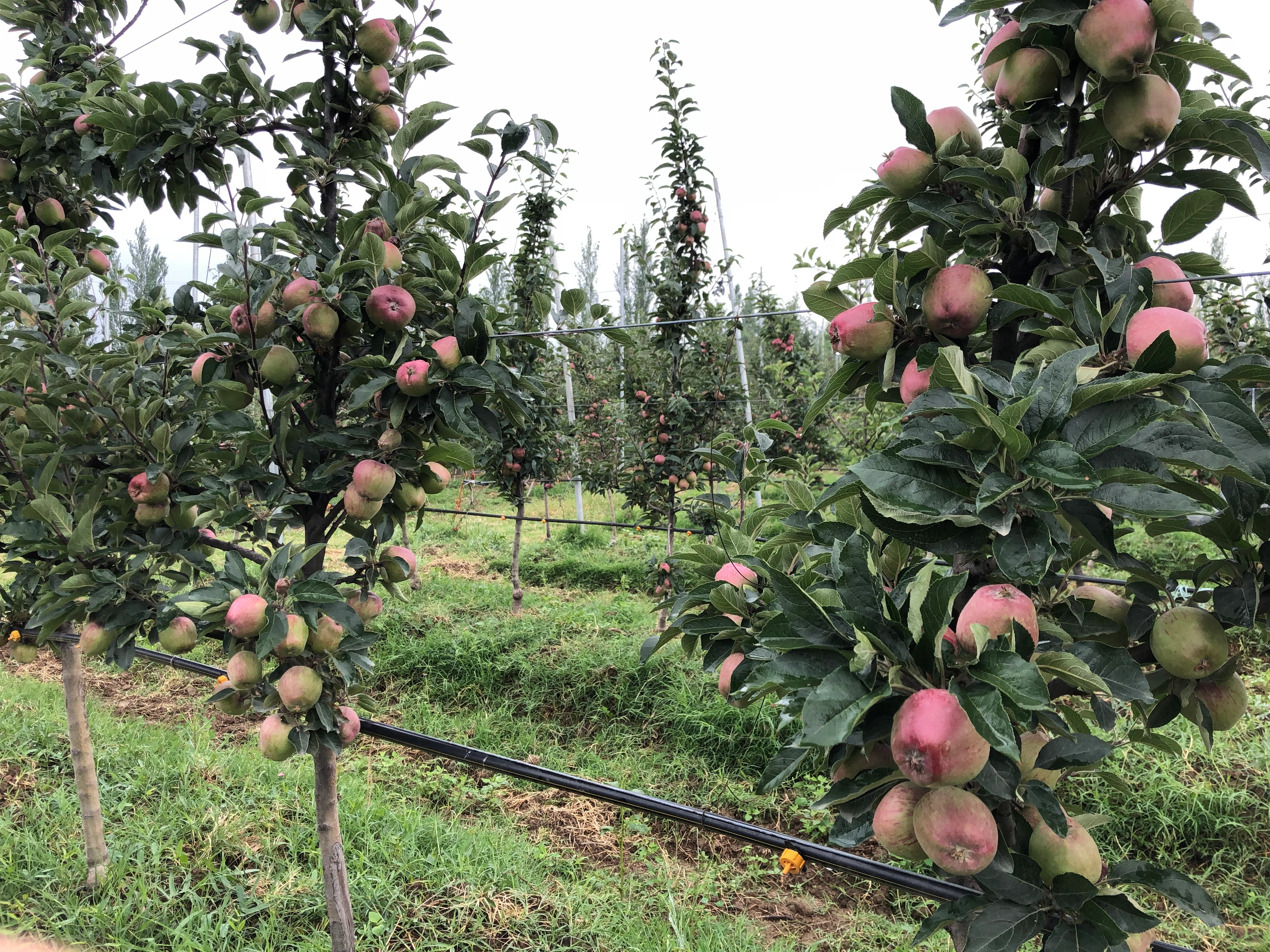 Empowering Farmers Through Sustainable Innovation